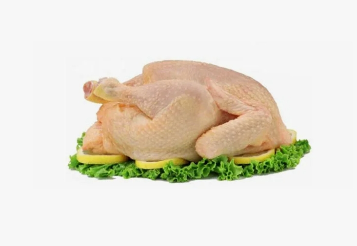 Pollo