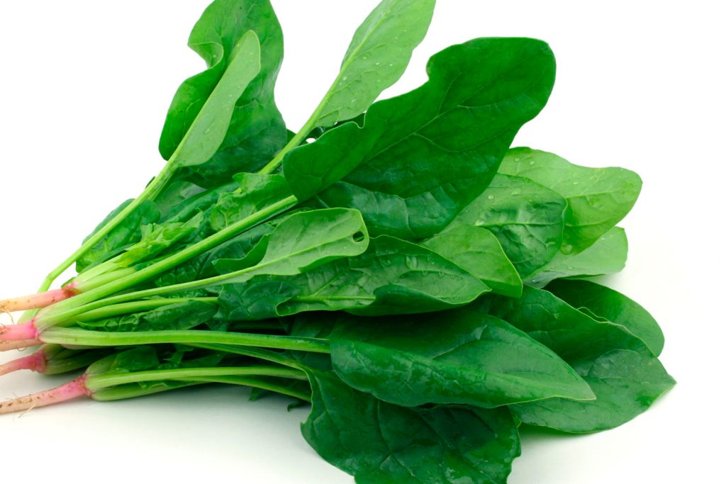 Hojas verdes