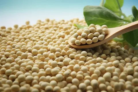 Proteína natural
