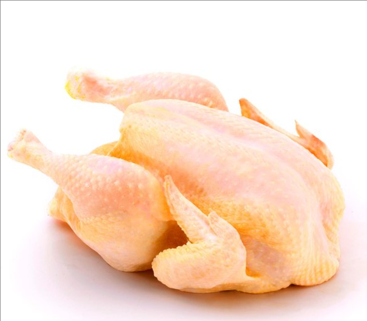 Pollo
